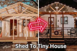 Shed-To-Tiny-House